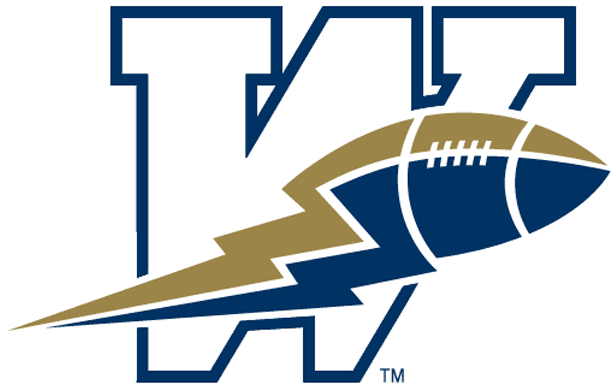 winnipeg blue bombers 1995-2004 primary logo iron on transfers for T-shirts
